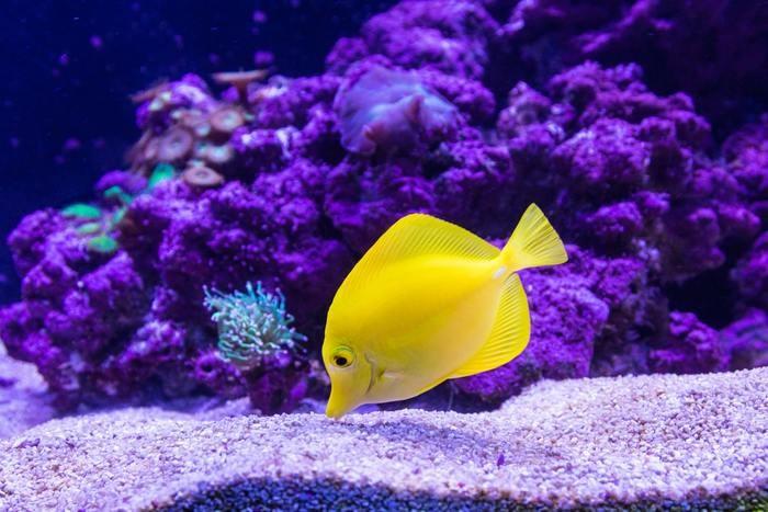 まずは魚座B型女性の基本性格をチェック