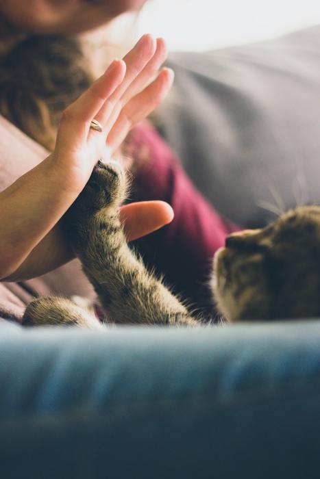 浮気男を飼い慣らしている女性に聞いた！浮気癖が治ったきっかけって？