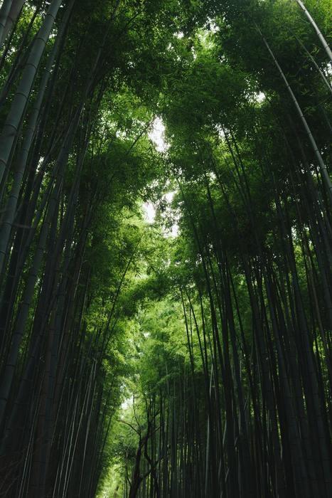 玉村八幡宮