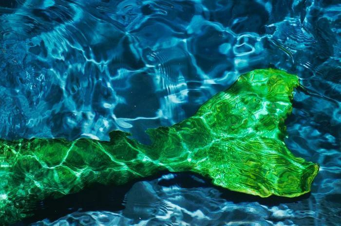 夢の中に人魚が出てきた！人魚の夢を見た時の意味と心理