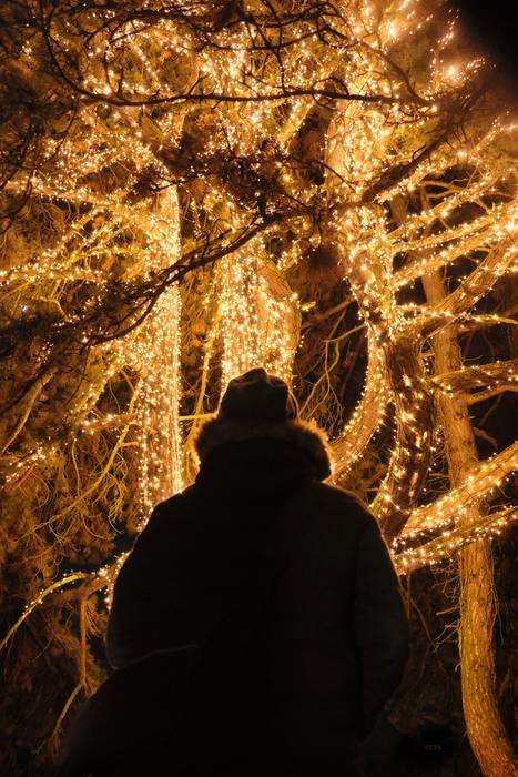 付き合う前から「一緒にクリスマスを過ごそう！」って誘う男性の本音はどうなの？