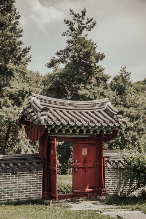韓国の占いおすすめ8選！占術種類や韓国の占い事情についても解説