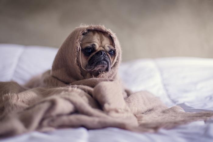 人生に疲れて休みたいと思ったときの気持ちの整理方法