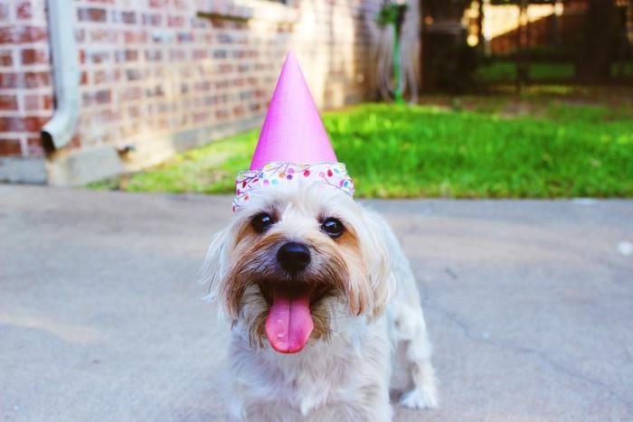 ツインソウルと誕生日の共通点！ぜひ参考にして下さいね