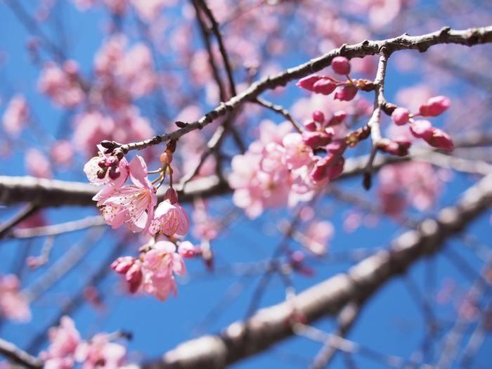 左手の結婚線の先が二股の人へのアドバイス