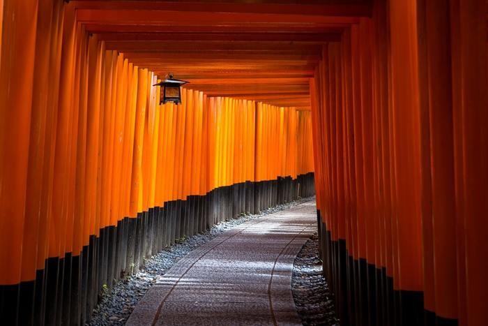 縁結びなら下鴨神社へ