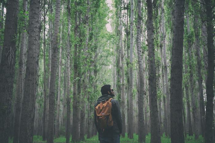 旅行で仲間とはぐれる夢