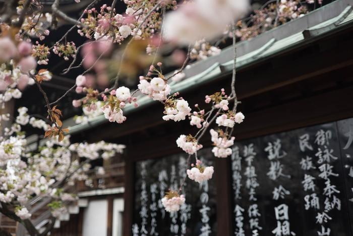  善光寺