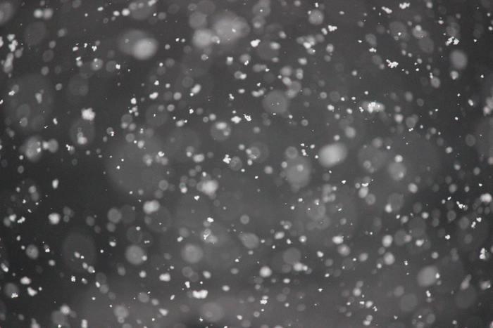 夢の中に雪が出てきた！雪の夢を見た時の意味と心理