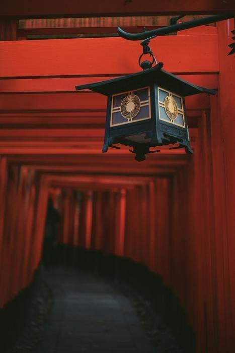 運気を上げてくれる神社でお参り