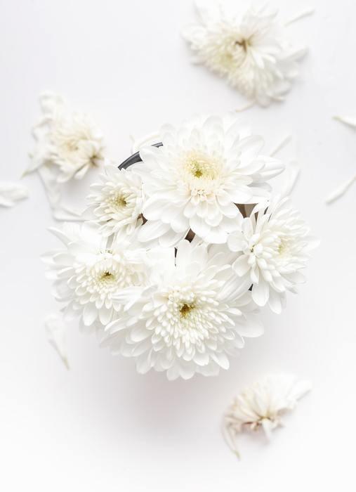 白い花の夢