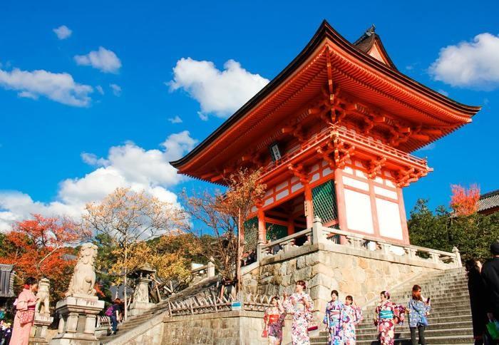 【渋谷パワースポット1】日本最高の神社と名高い明治神宮